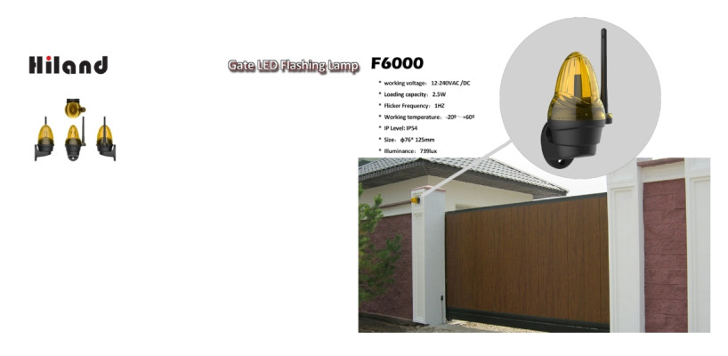 2017 new gate flash lamp F6000